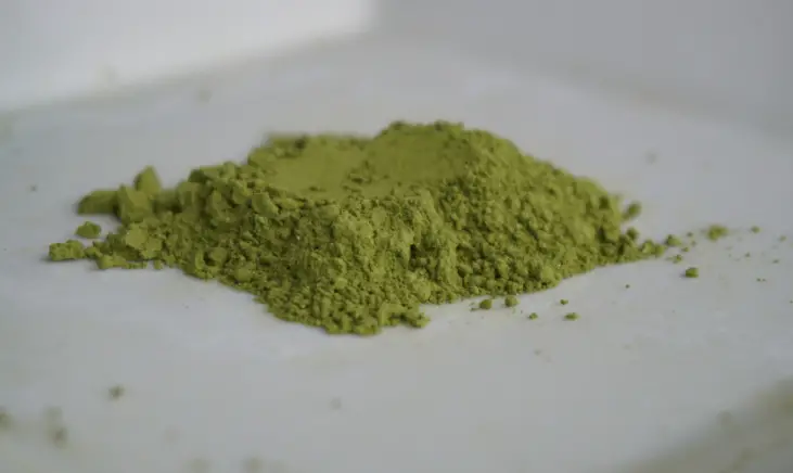 ACTA Match Green Tea Powder on a white plate