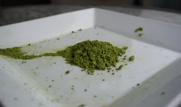 Encha Matcha Green Tea Powder on white plate