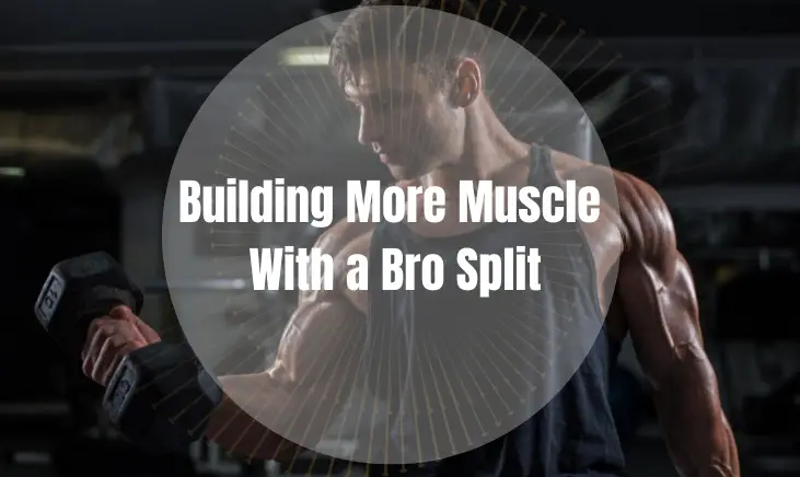 Text that reads building more muscle with a bro split over top of an image of a man in the gym doing bicep curls