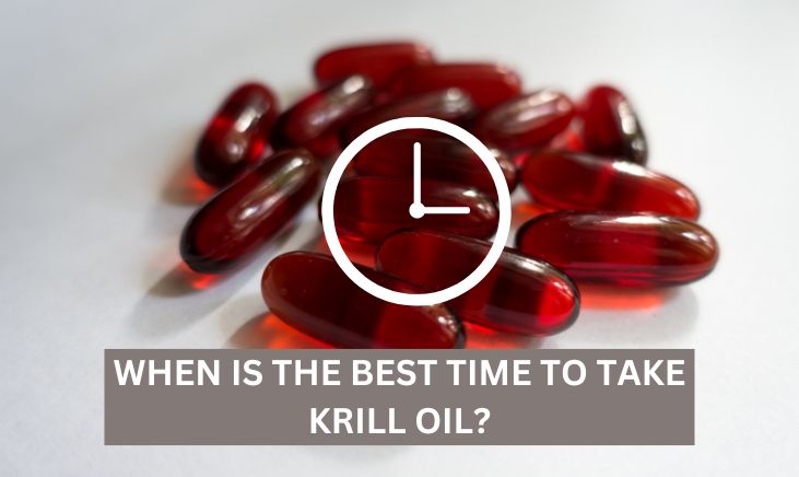 Best Time to Take Krill Oil