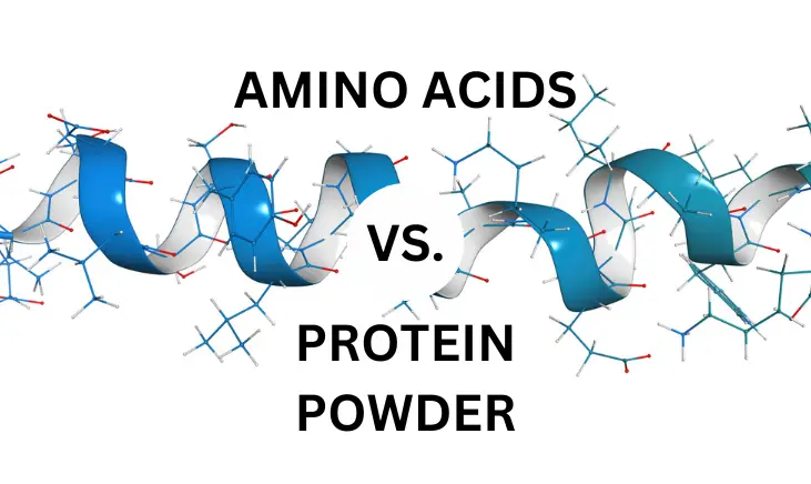 Amino Acids Vs. Protein Powder
