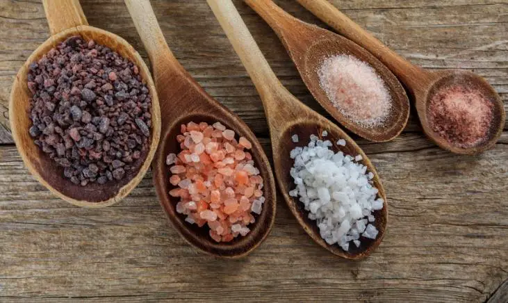 Variety of salt types showcased on wood spoons