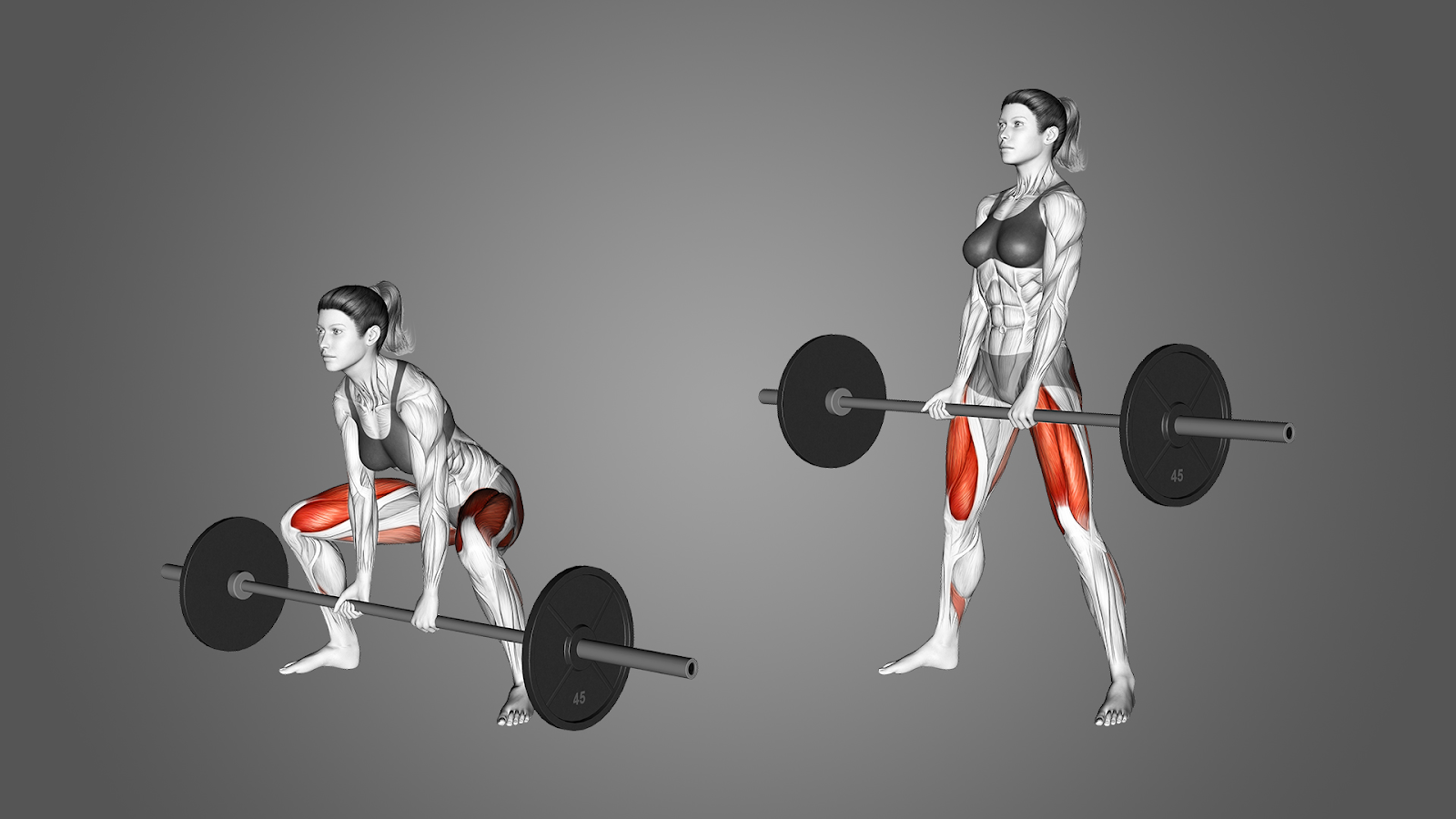 A 3D illustration of a woman performing a sumo barbell deadlift.