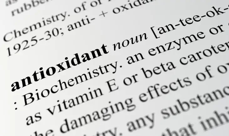An image of a dictionary showing the meaning of antioxidant.