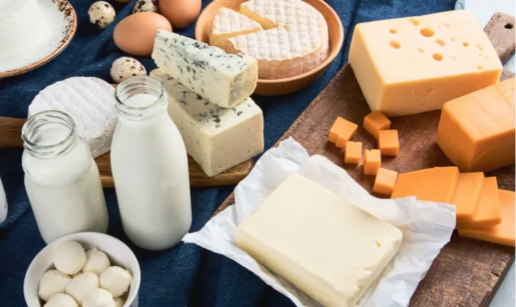 Assorted dairy products, including cheese, milk, and yogurt
