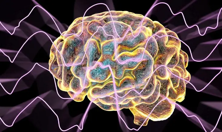An image showing a animated brain and the effects of glycine to the brain.