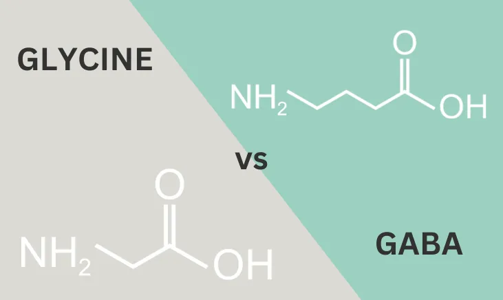 Diagram showcasing Glycine and GABA