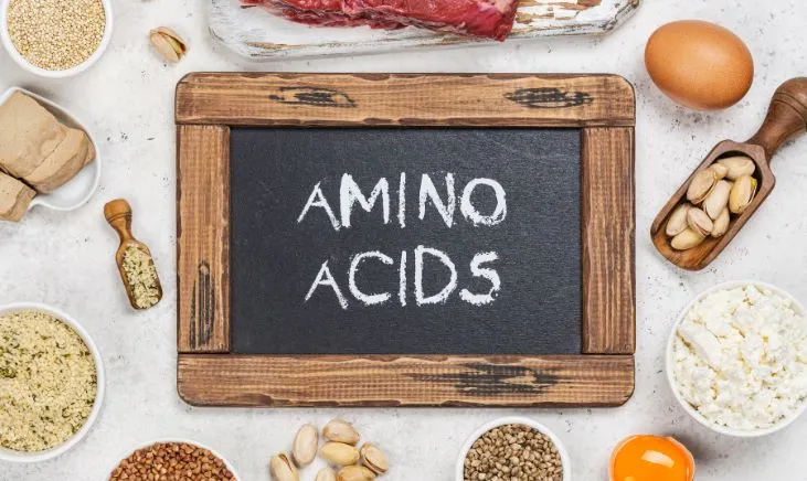 variety of amino acid-rich foods