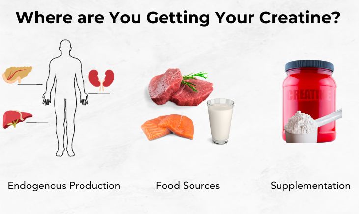 Where are you getting your creatine? From endogenous production in the pancreas, liver and kidneys. From food sources, beef, salmon and milk. From supplementation, creatine powder.