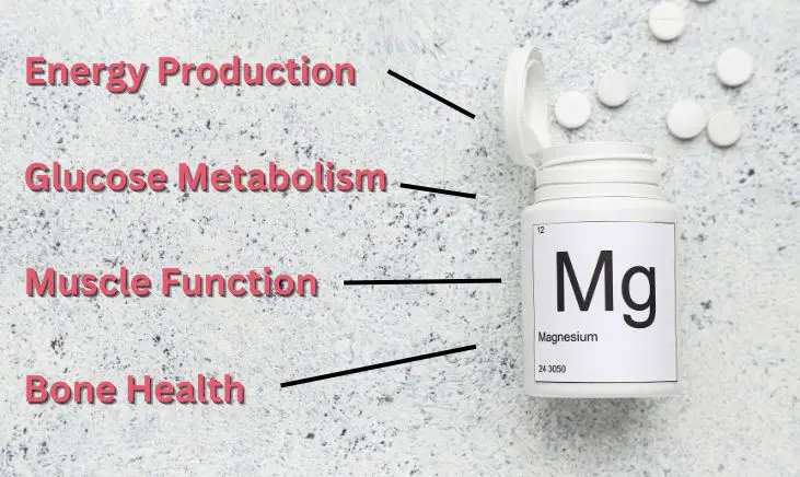 magnesium and metabolism benefits
