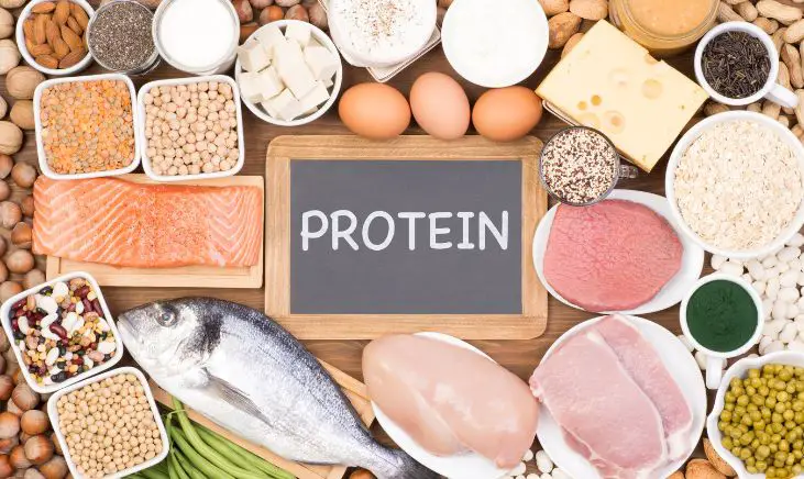 Protein foods. Meat, fish, chicken, eggs, beans, nuts, milk and tofu. 