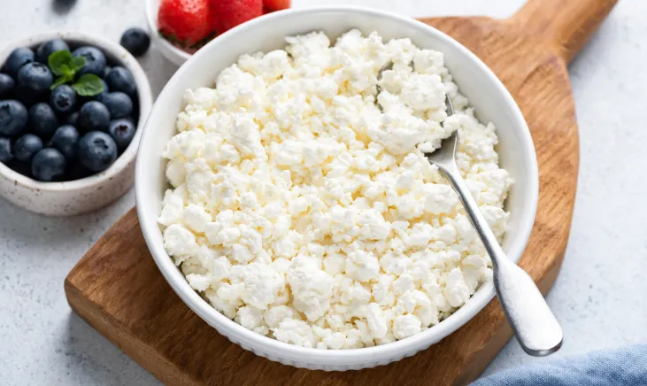 Creamy cottage cheese in a bowl
