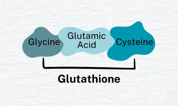 cysteine, glycine, and glutamic acid: The key players in the production of glutathione.