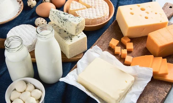 Assorted dairy delights, including creamy milk, cheese, and yogurt