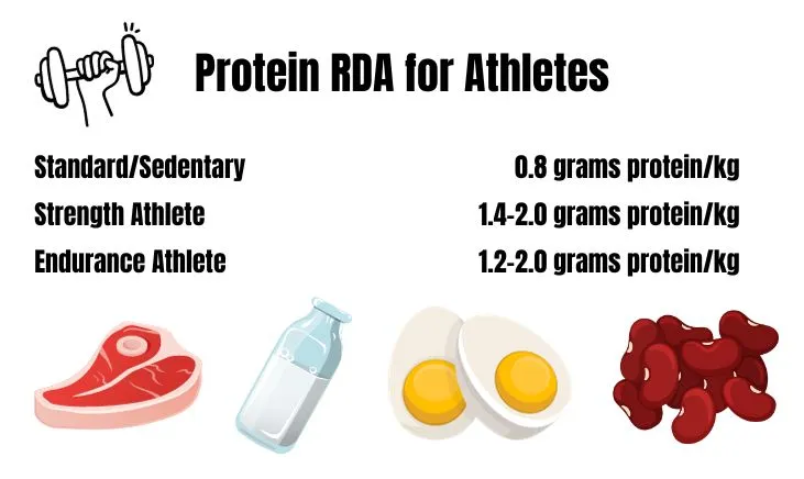 Protein RDA for athletes