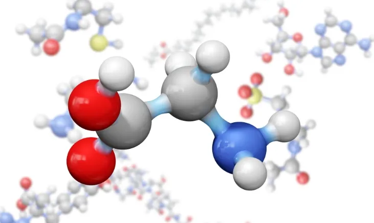 Molecular model of glycine