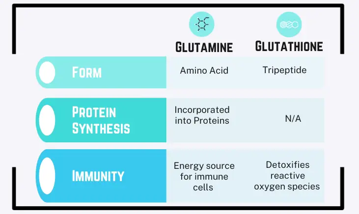 a picture of glutamine and glutathione with meaning