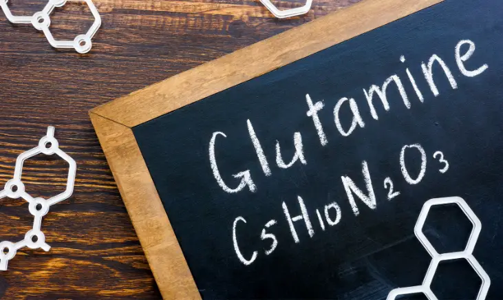 a small chalkboard with the word glutamine and it's chemical formula (C5H10N2O3) written on it and models of molecules scattered around 