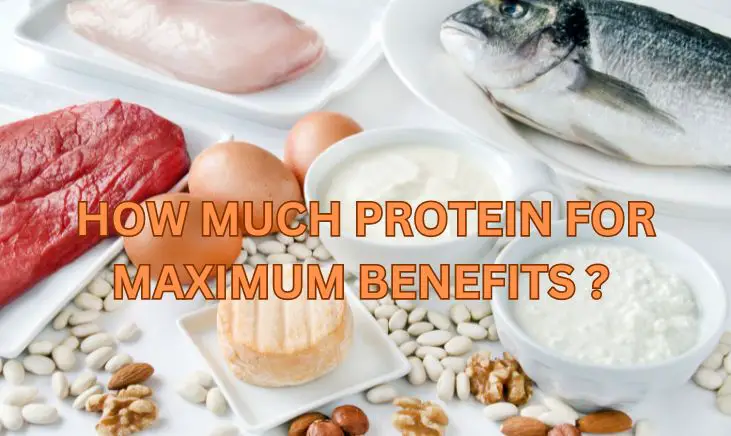 How Much Protein Do You Need a Day?