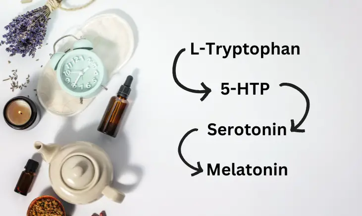 L-Tryptophan Vs 5-HTP