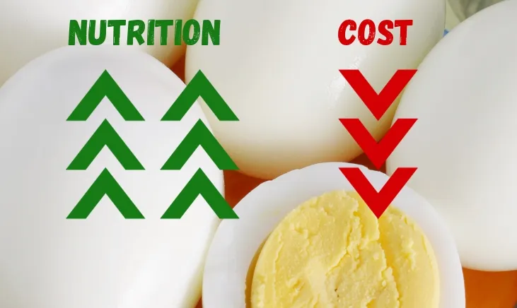 Boiled eggs with 'Nutrition' and 'Cost' labels