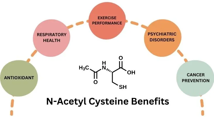 Exploring N-Acetyl Cysteine Benefits
