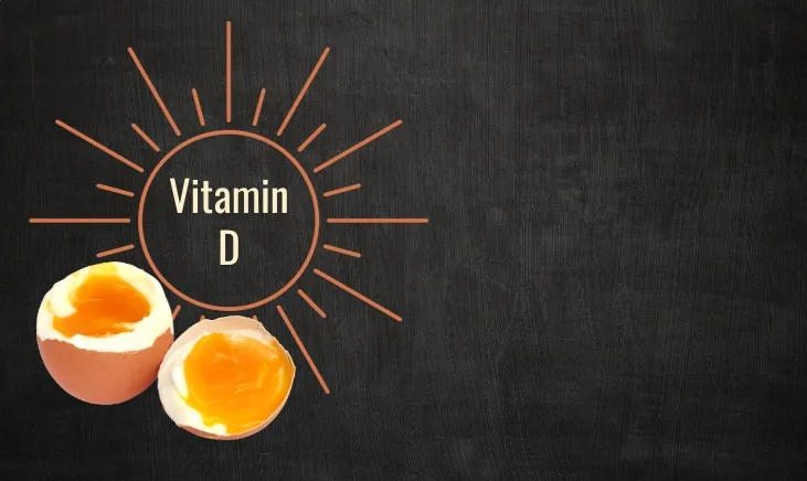 Half a cracked egg with 'Vitamin D' spelled out