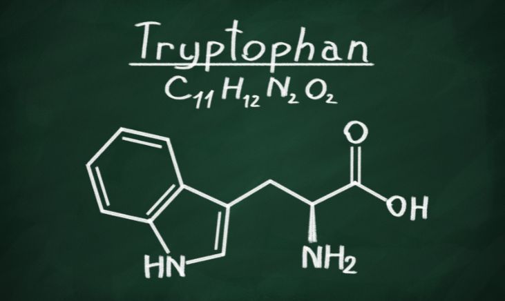 Tryptophan molecule, an essential amino acid, shown through chemical formula.