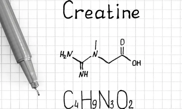 Creatine structure on paper