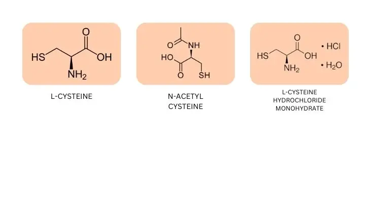 Image comparing the forms of L-Cysteine Hydrochloride L-Cysteine and N-Acetyl Cysteine.