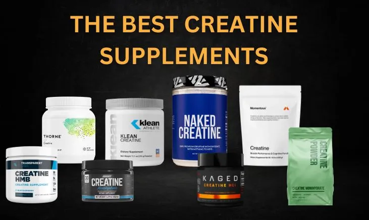 Several Best Creatine Supplements